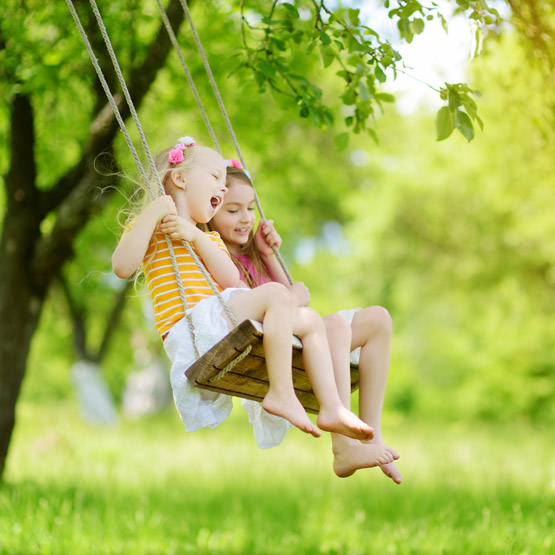 Yard Cleanup Freehold NJ